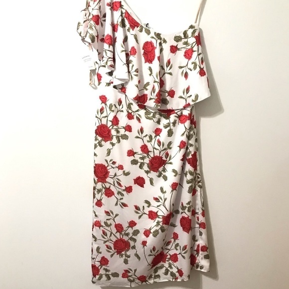 Fame and Partners Briar Rose White Red Floral One Shoulder Dress Ruffle US 8 NWT - Picture 5 of 12